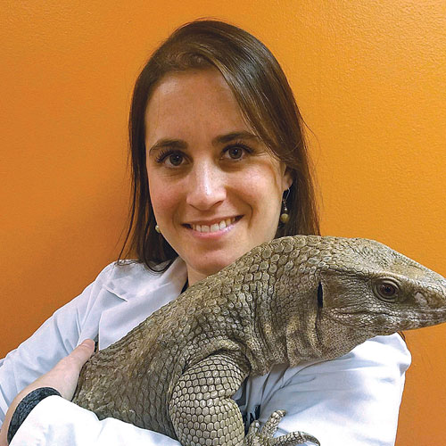 Dr Fairlie, DVM, Creature Comforts Animal Hospital