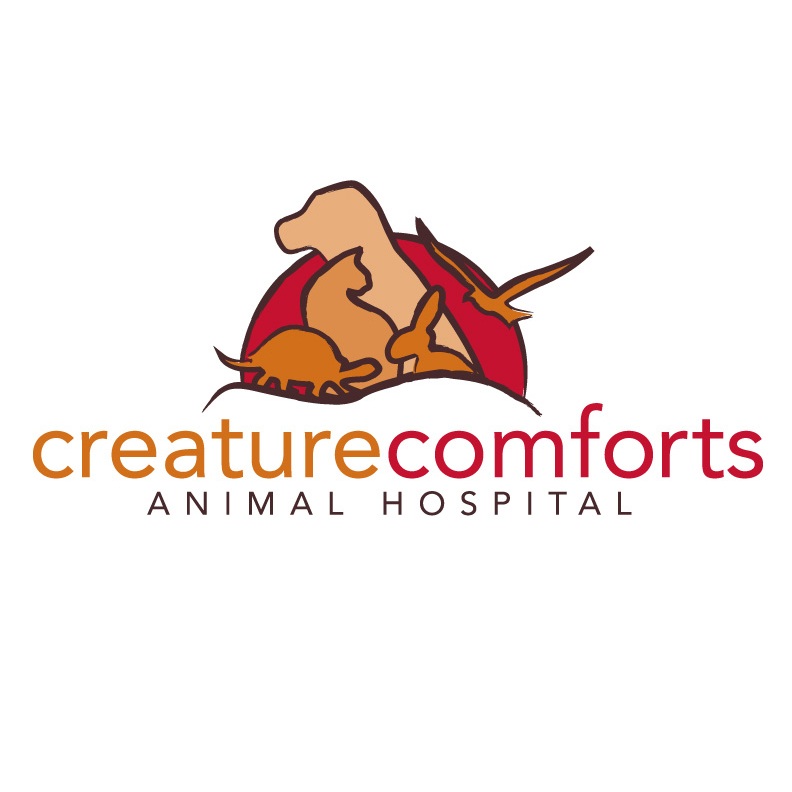Creature Comforts Animal Hospital, . - Hudson Valley Veterinarian