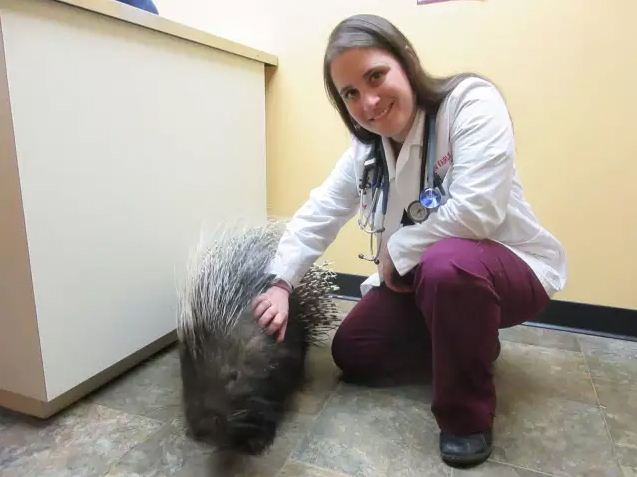 Poughkeepsie Vet Treats Animals Of All Shapes, Sizes